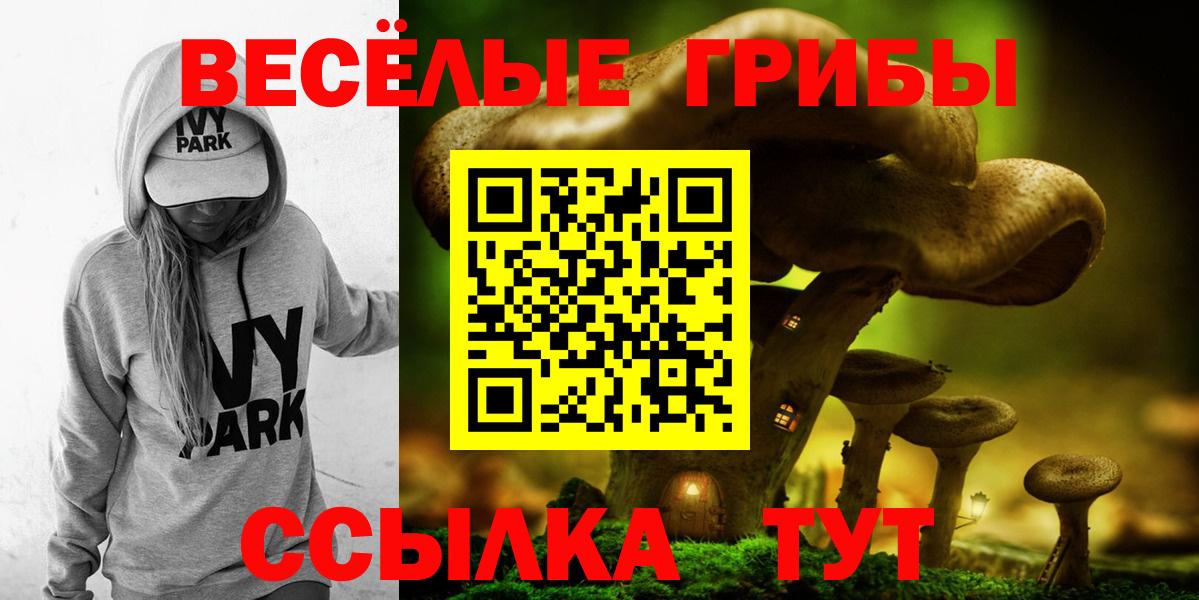 Псилоцибиновые грибы Psilocybe Славгород
